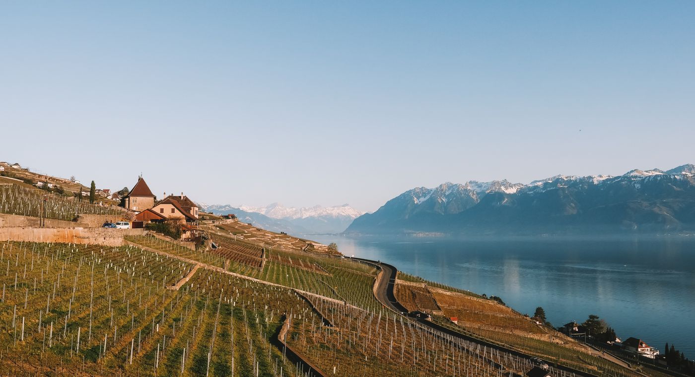 Vignobles au bord du lac Léman avec les montagnes en arrière-plan