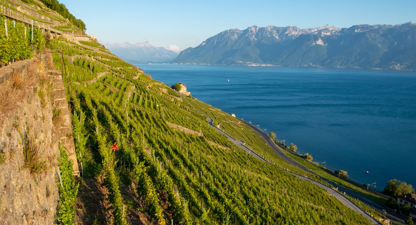 Vignobles en terrasses de Lavaux surplombant le lac Léman