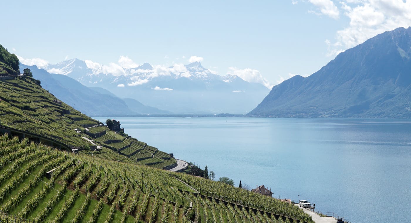 Vignobles en terrasses de Lavaux surplombant le lac Léman